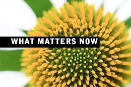 Portada de What Matters Now, de Seth Godin.