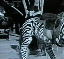Escena de 'El Circo' de Charlie Chaplin.