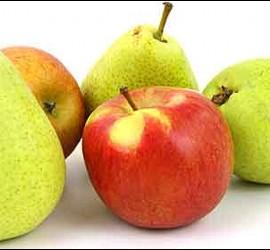Frutas; pera y manzana.