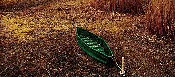 Las Tablas de Daimiel, en la actualidad.