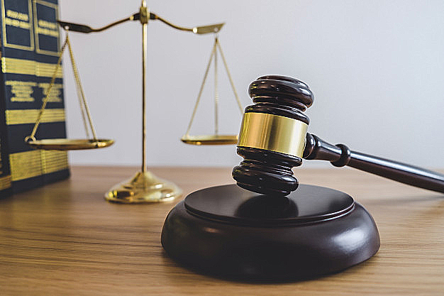 La abogada feminista (y II)