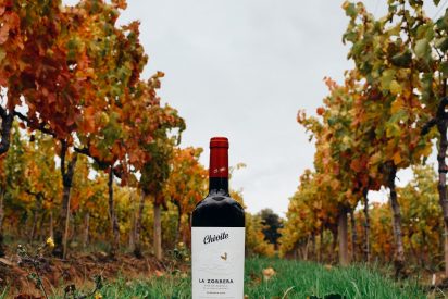 Nace La Zorrera 2015, el primer vino de parcela de Chivite: garnacha en estado puro