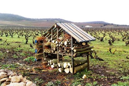 La Rioja Alta, S.A. inicia la instalaci&oacute;n de albergues de "microfauna aliada" en sus vi&ntilde;edos