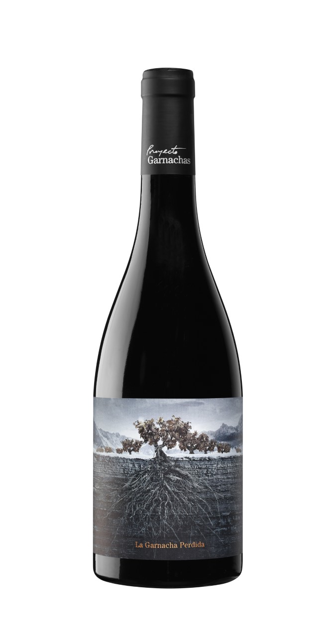 La Garnacha Perdida del Pirineo o el alma de una garnacha de altura