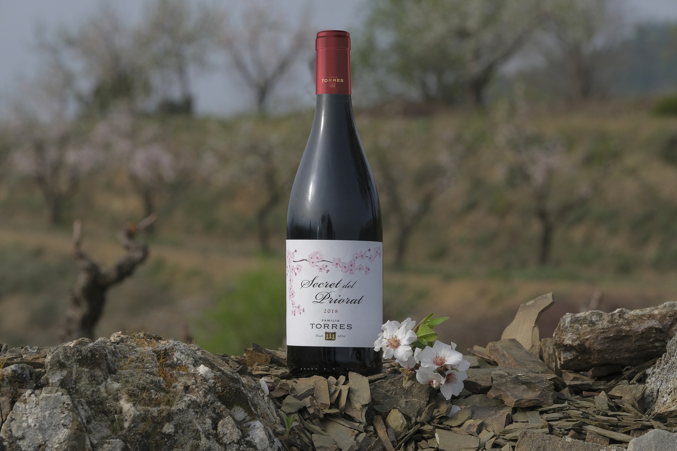 Familia Torres presenta Secret del Priorat 2018, un tinto amable y hedonista