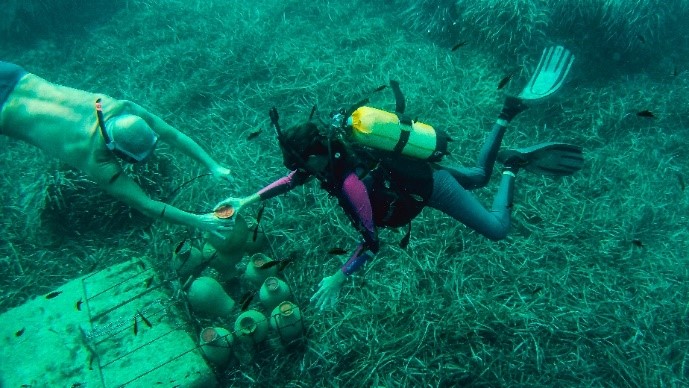 Gin Mare & Salmon Guru presentan Ultramare: cócteles en las profundidades del mediterráneo