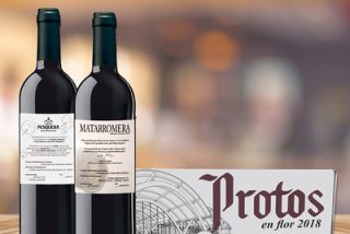VinoSelecci&oacute;n oferta, al m&aacute;s puro estilo franc&eacute;s, vinos en premier de grandes bodegas de Ribera del Duero