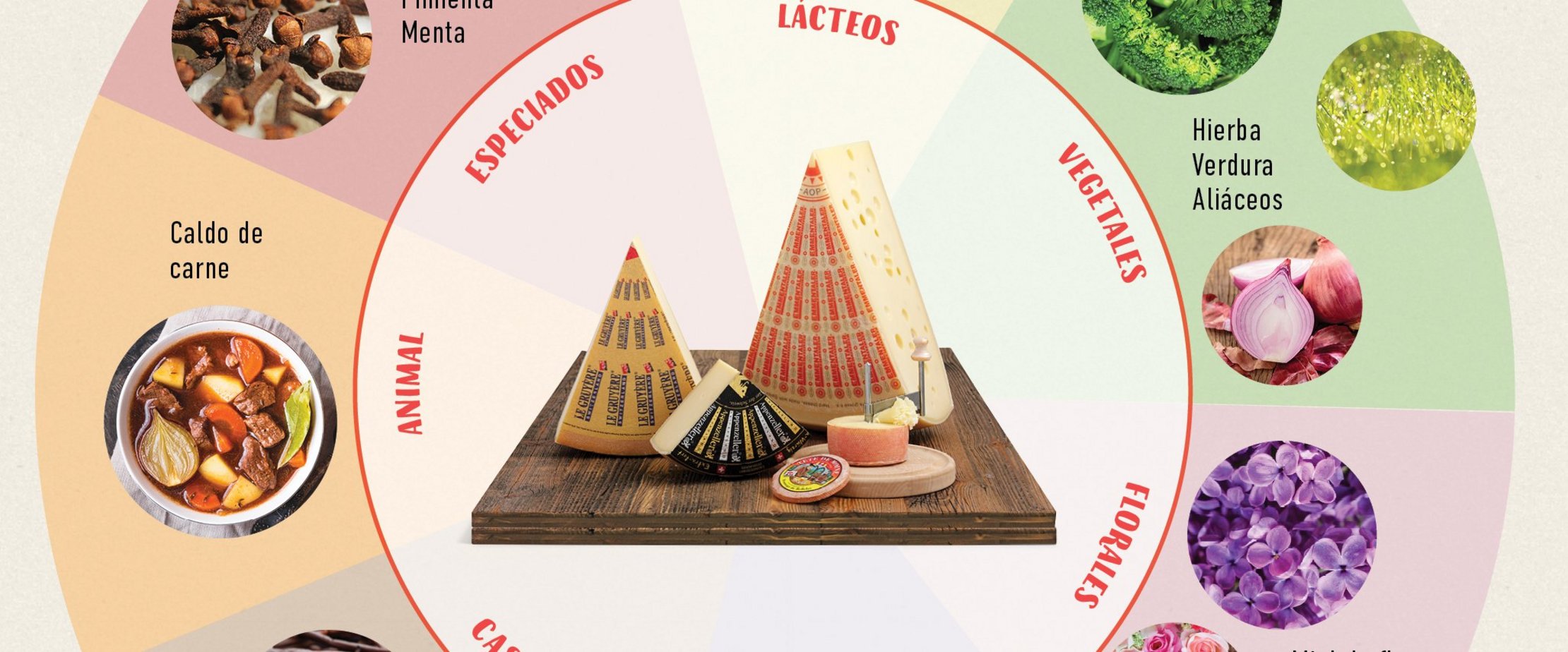 Gu&iacute;a pr&aacute;ctica para convertirte en un experto catador de quesos suizos