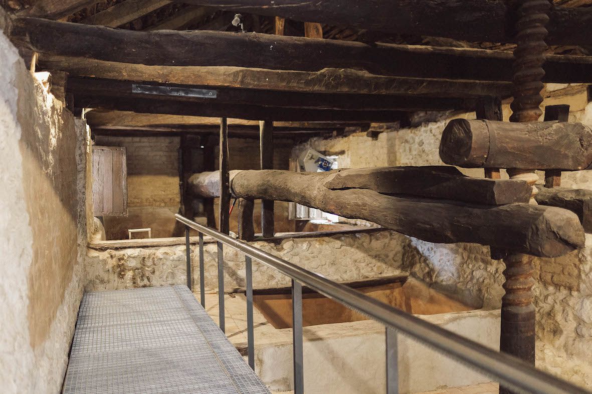 Familia Fernández Rivera revive su historia y recupera su antiguo lagar del S.XVI haciendo vino