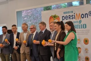 Nueva temporada en la Denominaci&oacute;n de Origen Protegida Kaki Ribera del X&uacute;quer
