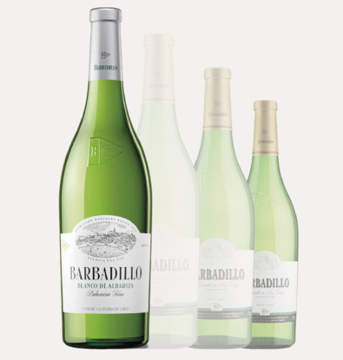 Barbadillo Blanco de Albariza, m&aacute;s esencia del Sur