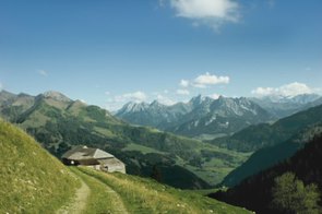 Le Gruyère d´Alpage AOP, un queso de altura
