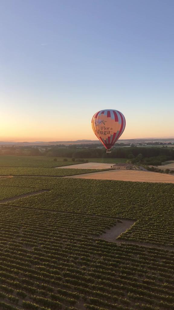 Bodegas Muga entre las marcas más destacadas del mundo en los World`s Best Vineyards