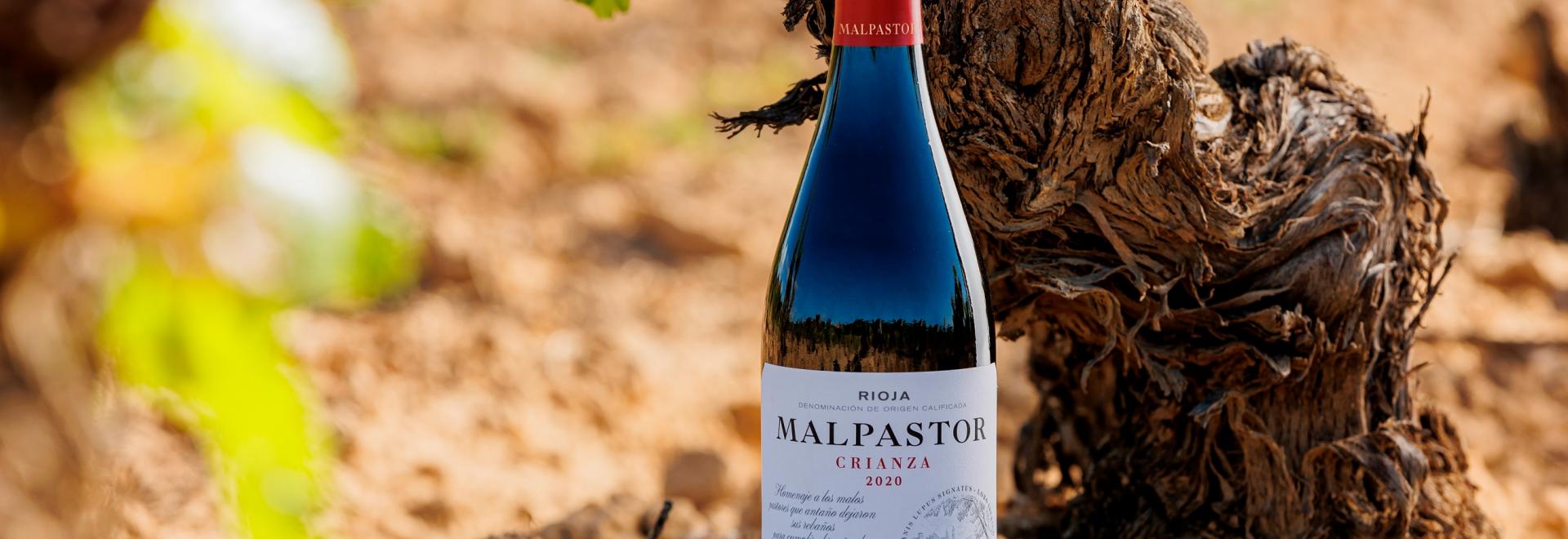 Malpastor 2020, el nuevo Rioja que muestra la tipicidad de la tempranillo de la Sonsierra