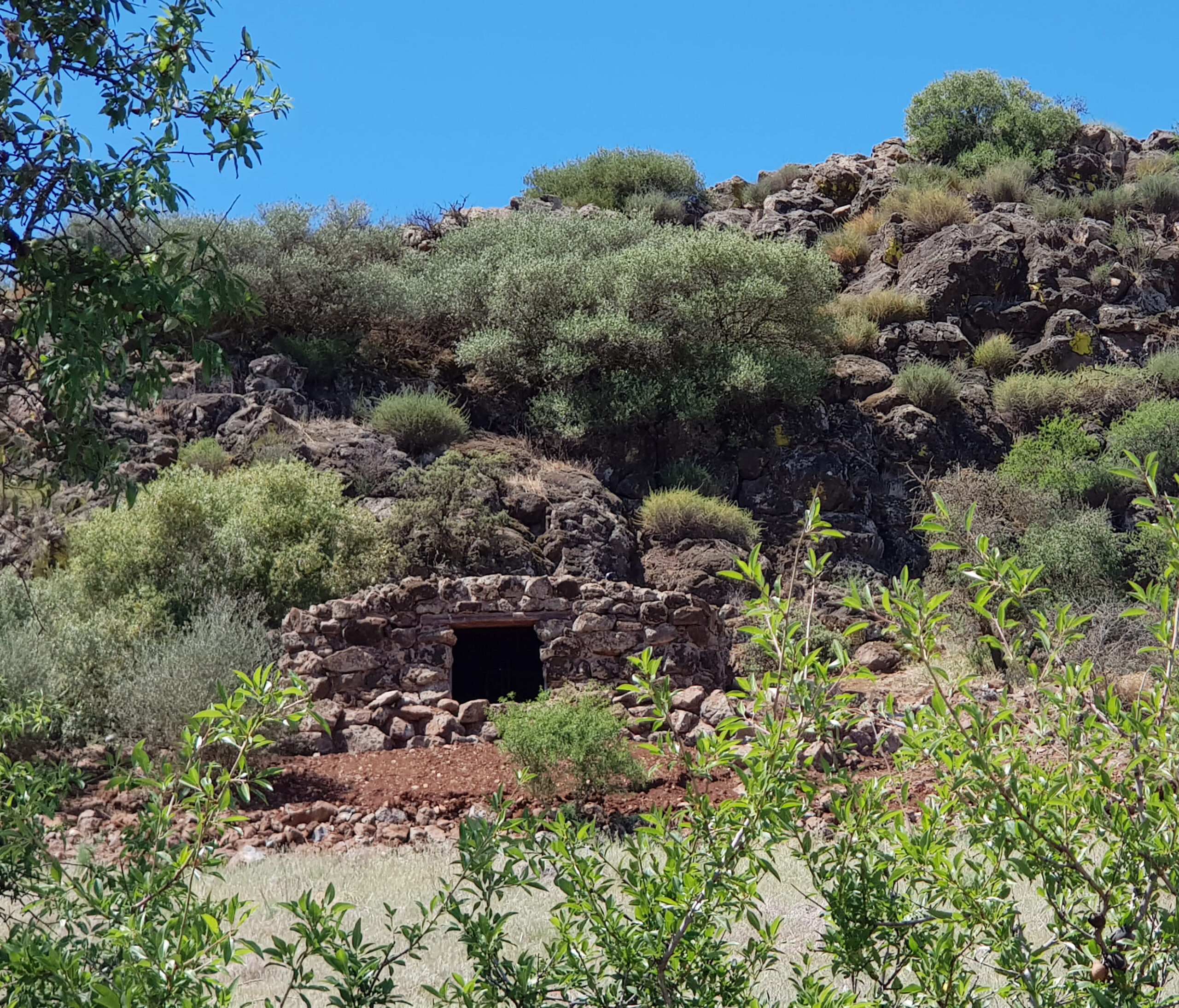 Encomienda de Cervera lanza el primer vino con crianza en gruta volc&aacute;nica protegida de contaminaci&oacute;n electromagn&eacute;tica