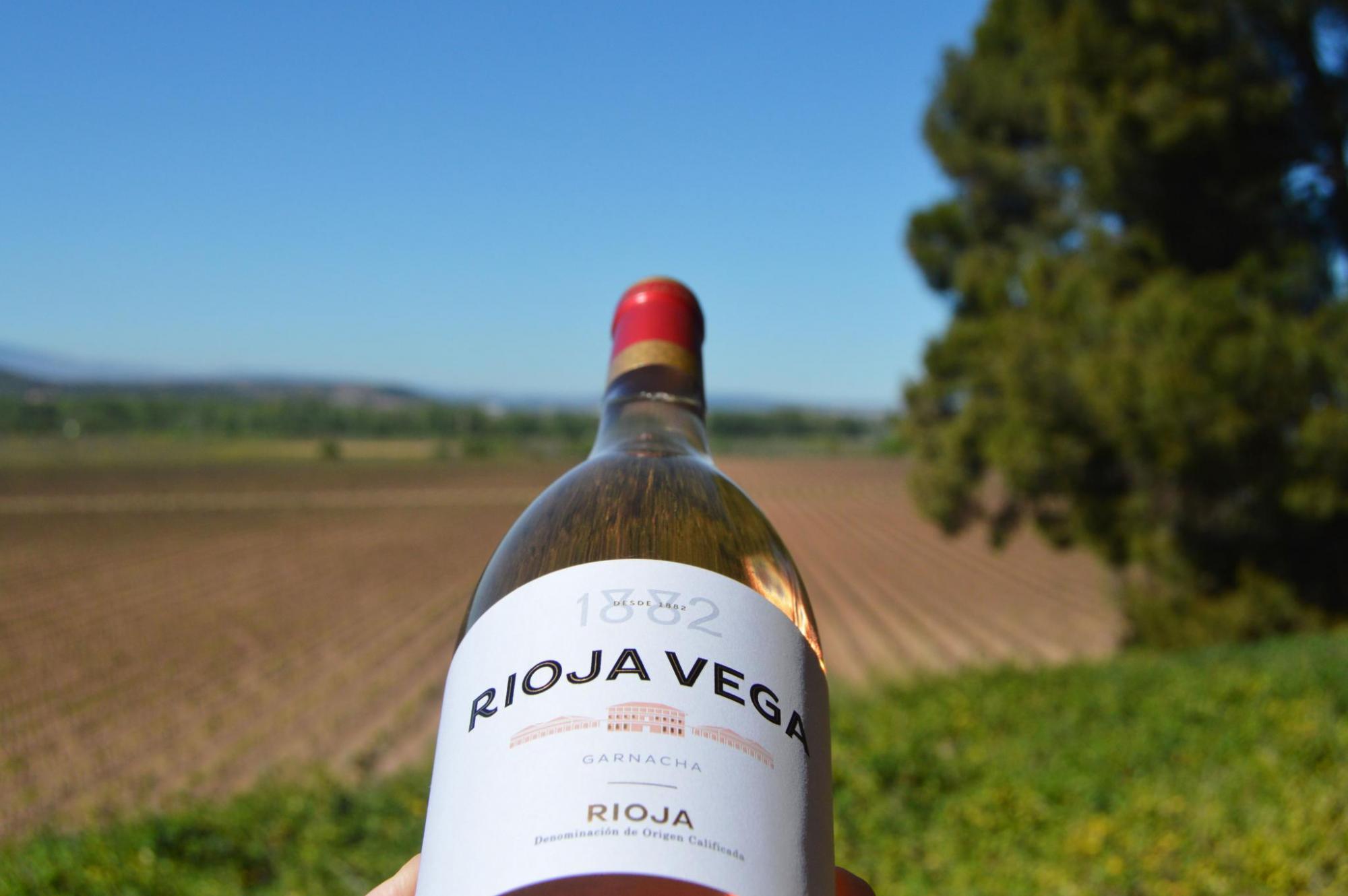 Rioja Vega 1882, nuevo rosado p&aacute;lido de garnacha que aporta elegancia y frescura