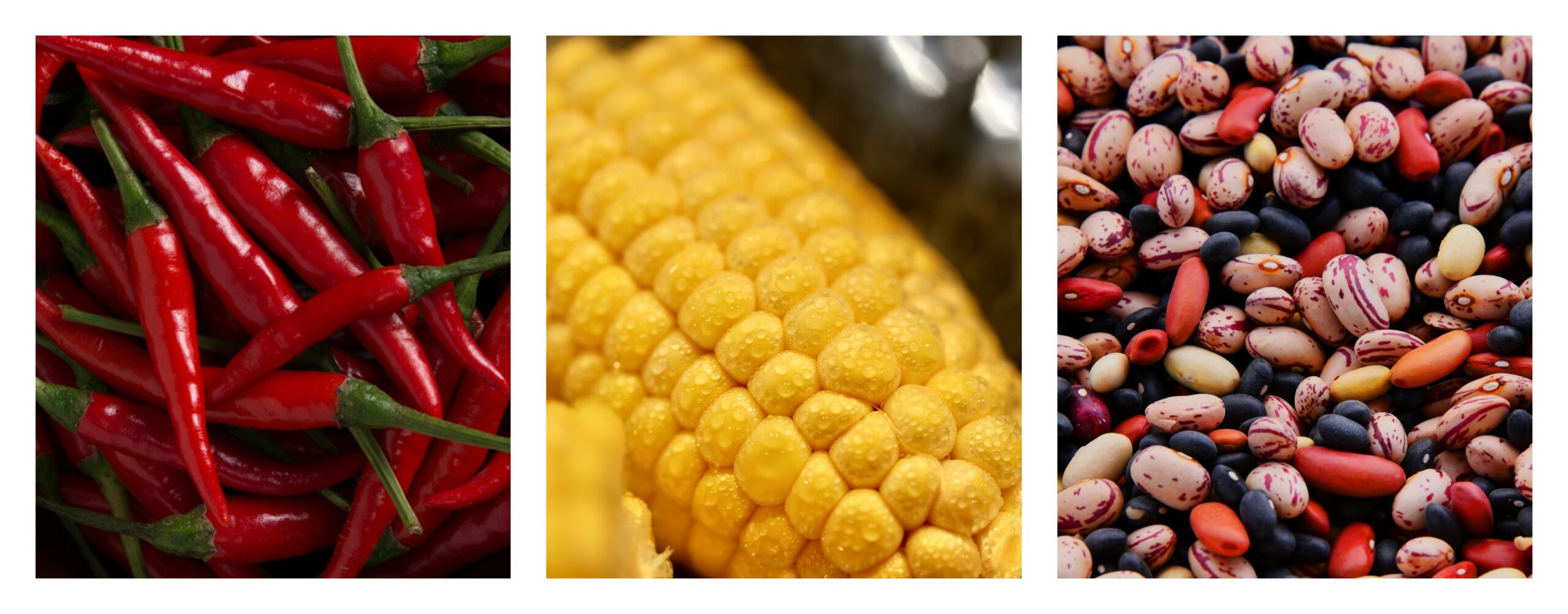 Estos son los 18 restaurantes con estrella Michelin en M&eacute;xico