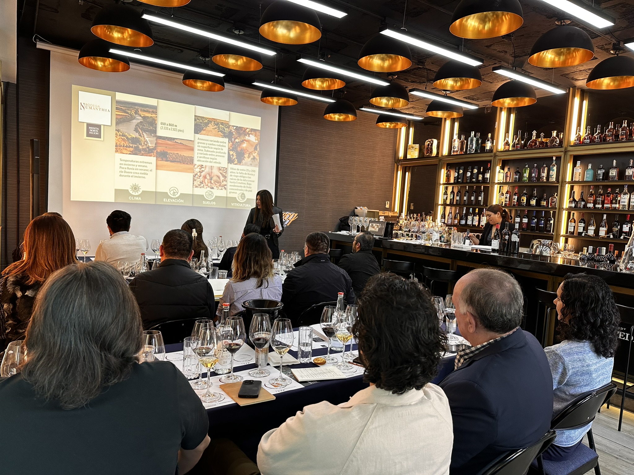 Grandes Pagos de Espa&ntilde;a celebra su 20&ordm; aniversario con la expansi&oacute;n de The Terroir Workshop a cinco pa&iacute;ses