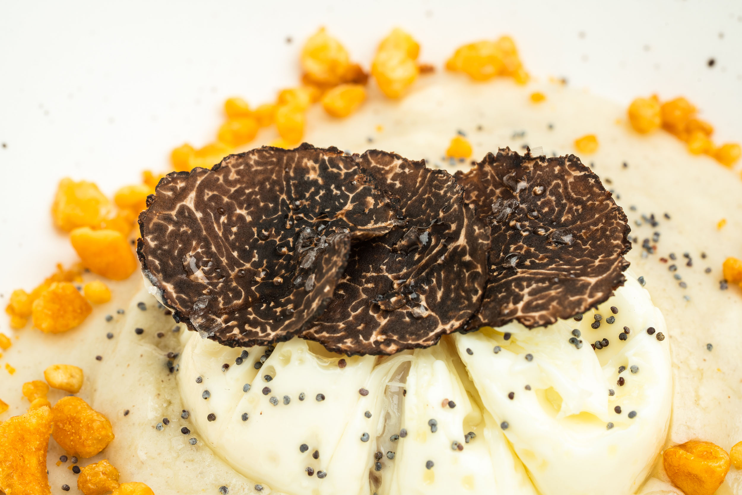 Soria homenajea a la trufa negra con sus platos y men&uacute;s