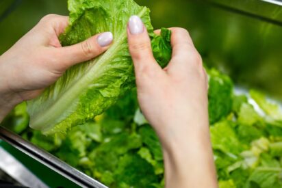 &iquest;Por qu&eacute; la lechuga se queda lacia y se estropea tan pronto?