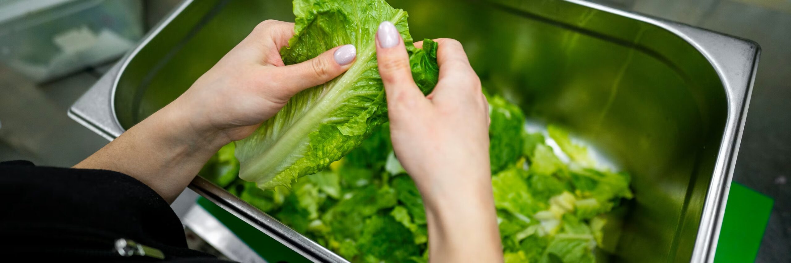 ¿Por qué la lechuga se queda lacia y se estropea tan pronto?