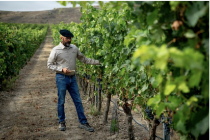 Fuentel&uacute;n 2020, expresi&oacute;n elegante y profunda de una parcela &uacute;nica en la Ribera del Duero