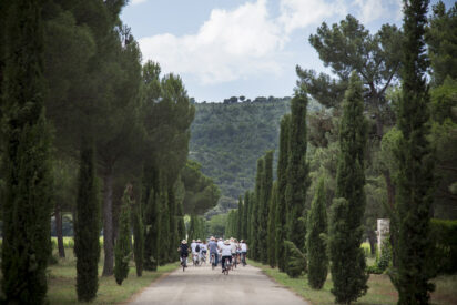 El D&iacute;a Pruno celebra la d&eacute;cima edici&oacute;n del winefest de la Milla de Oro