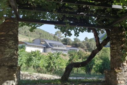 Godeval Cepas Vellas 2024, expresi&oacute;n m&aacute;s profunda de la godello nacida de algunas de las vi&ntilde;as m&aacute;s antiguas de Valdeorras