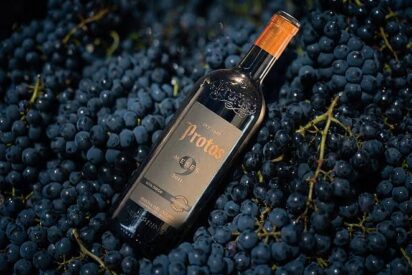 Protos 9 meses 2024, un media crianza ecol&oacute;gico que incorpora la variedad malbec