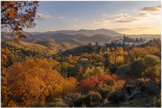 La Sierra de Aracena re&uacute;ne algunos de los grandes placeres de la temporada