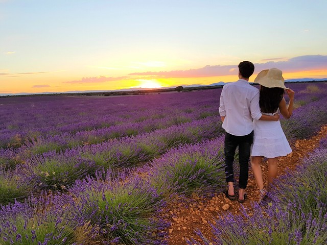 Hotel Spa Niwa lavanda Brihuega