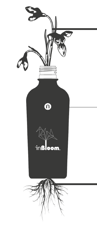 natualmente capilar inbloom