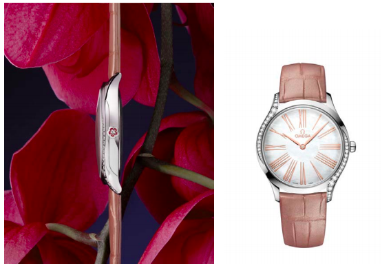omega tresor
