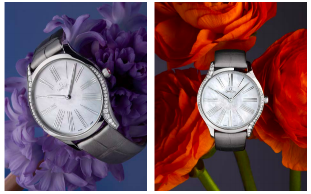 omega tresor