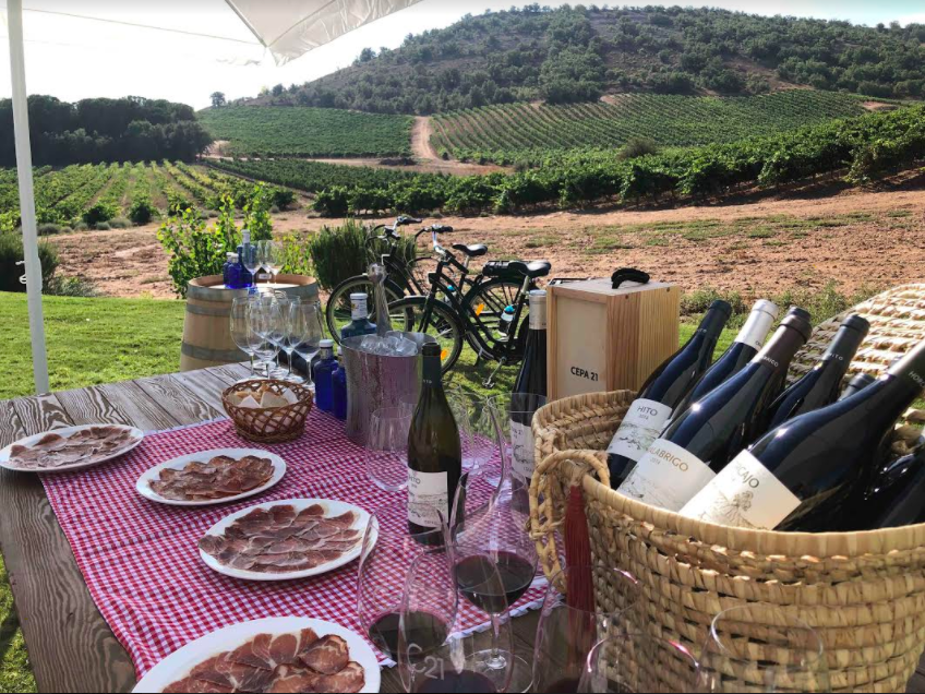 Bodega Cepa 21 tour