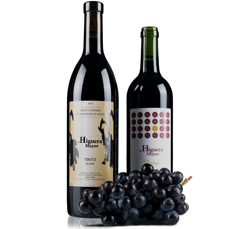 Bodega Higuera