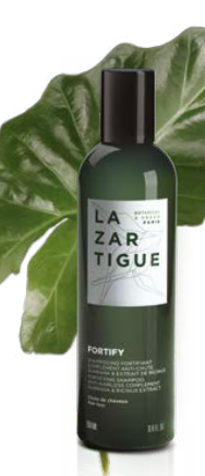 Lazartigue champu 