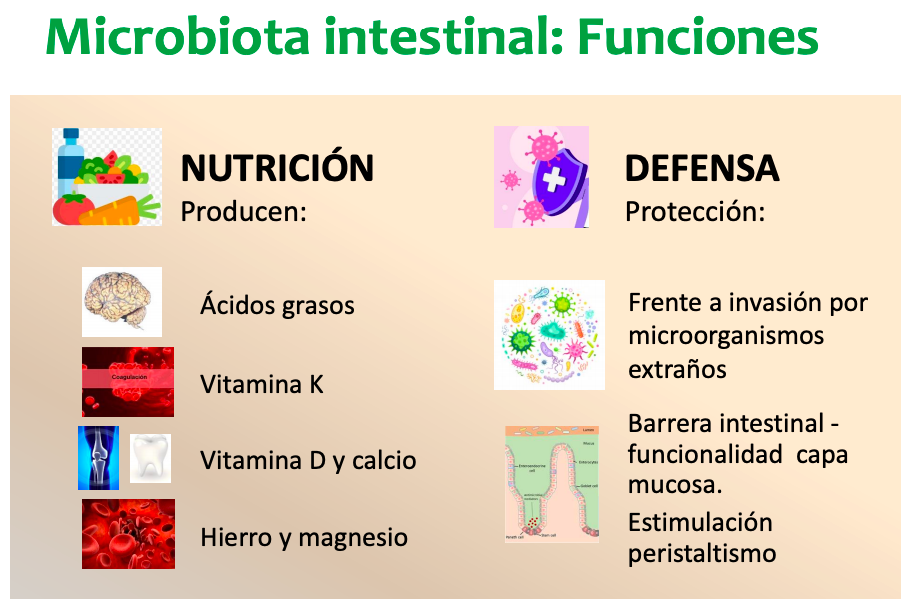 Microbiotica