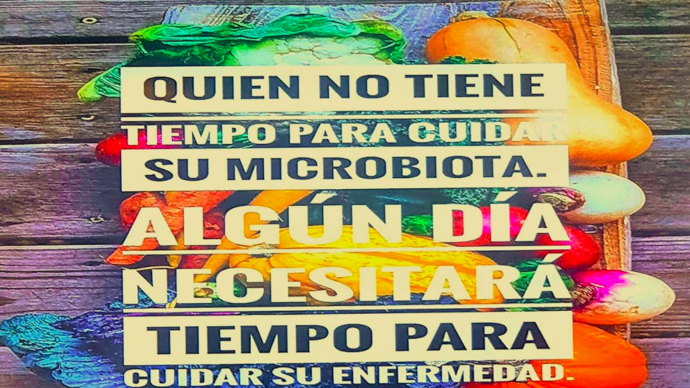 Heel probioticos