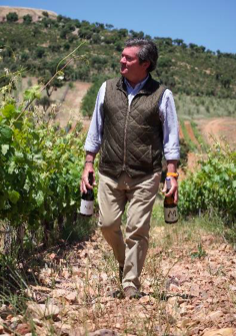 Bodegas NOC Ignacio de Miguel