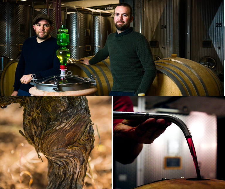 Domaine Fouassier Sancerres