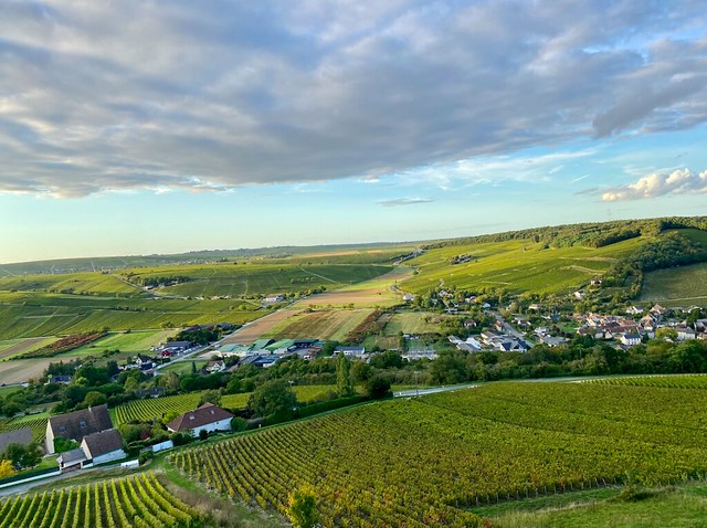 Sancerre