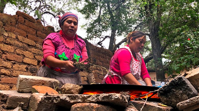 Guanajuato cocineras