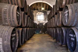 Bodegas Tradici&oacute;n