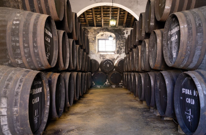 Bodegas Tradición