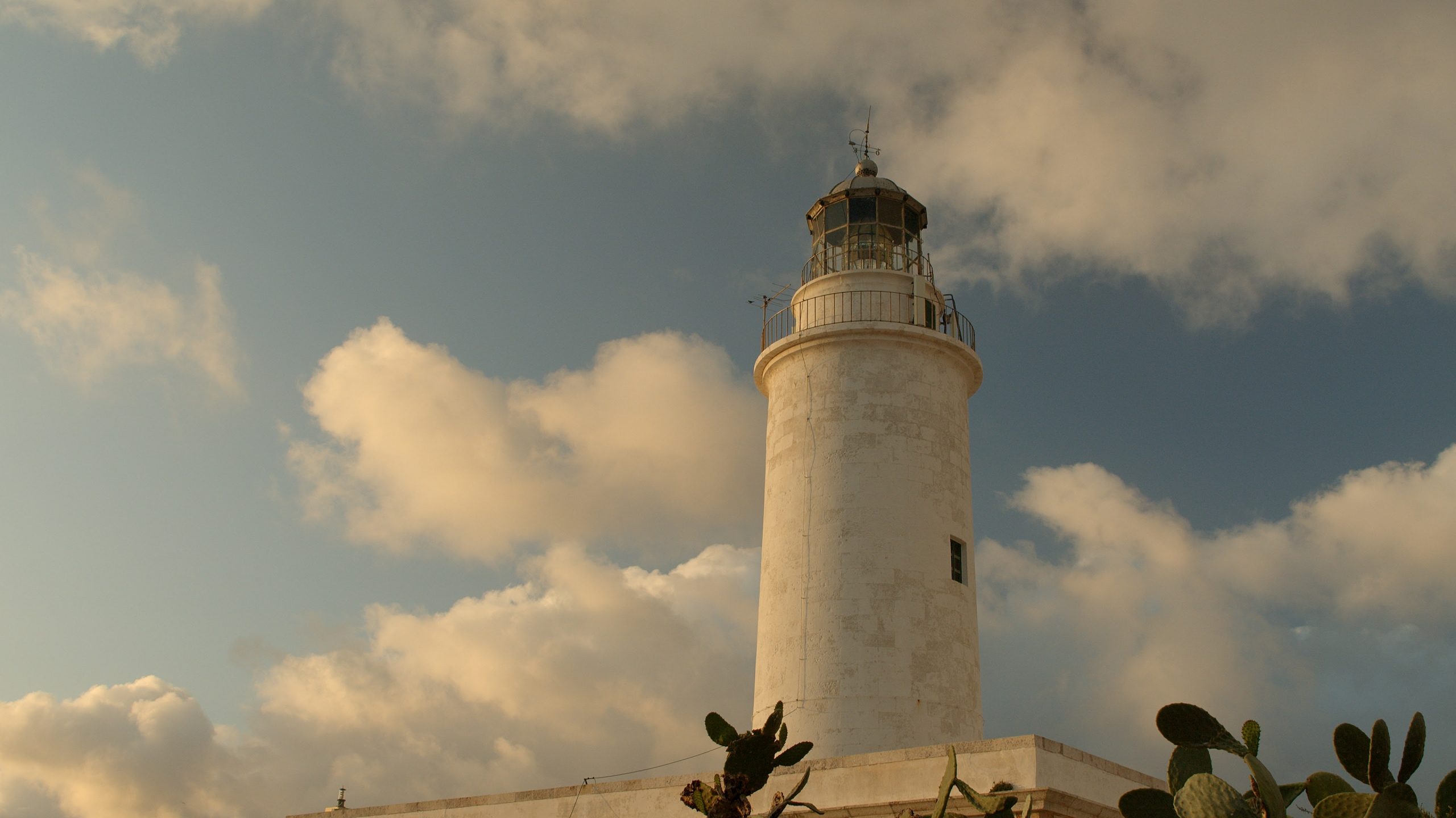 SON Estrella Galicia Posidonia