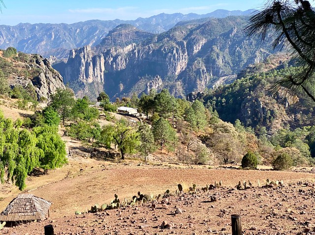 Barrancas del Cobre casas tarahumara
