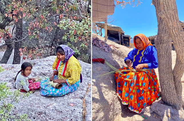 Barrancas del Cobre mujeres raramuri