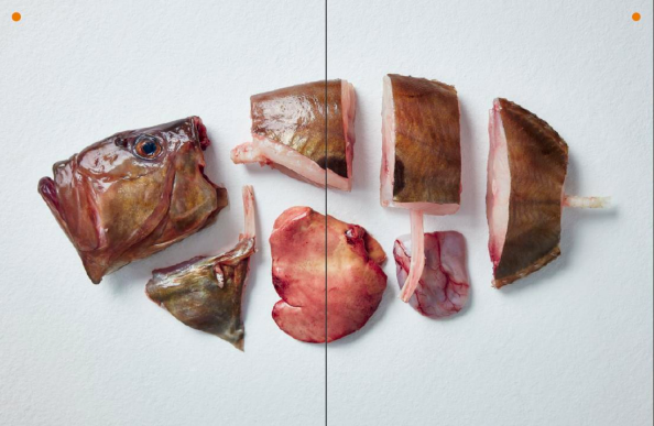 Cocina un pescado 