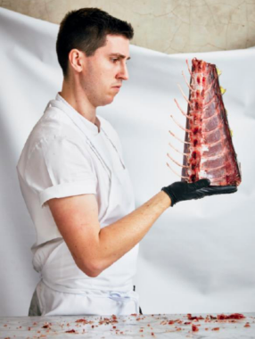 Cocina un pescado josh nilan